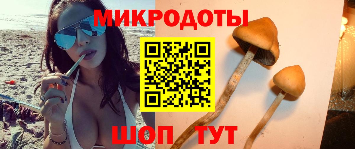 Галлюциногенные грибы GOLDEN TEACHER  Вход с VPN  Псков 